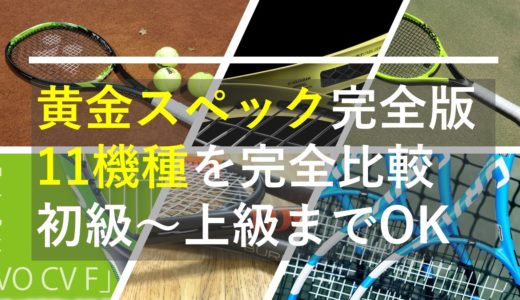 寿命 テニスラケットに中折れはない 但し性能劣化は有 Racket Labo